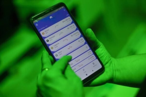 Мега кракен